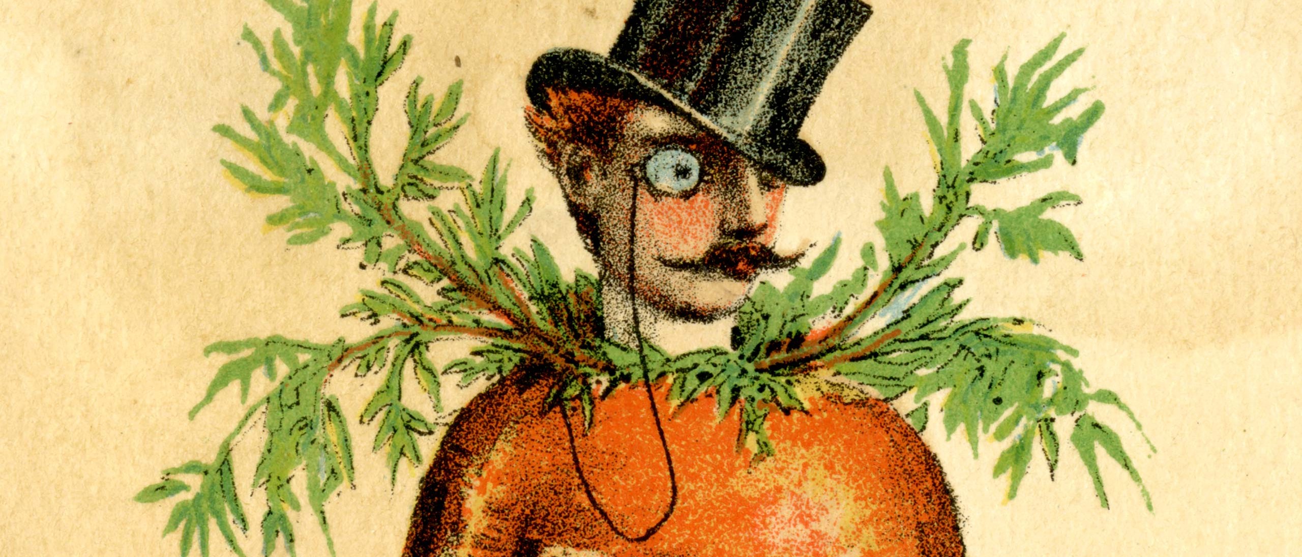 Illustration of a man combined with a carrot