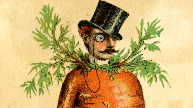 Illustration of a man combined with a carrot