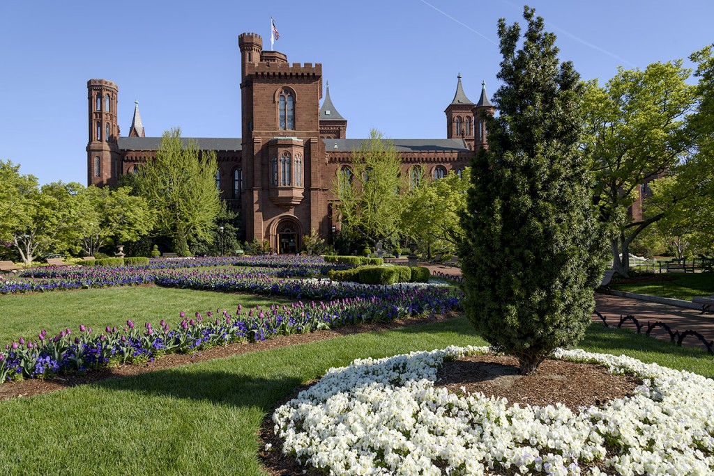 Symmetrical pattern of diamond and circle plantings featuring purple tulips and white panies and blue pansies with red-stone Smithsonian Castle behind