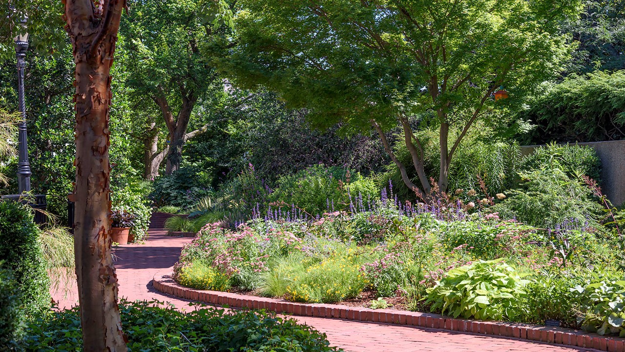 Brick walkway through the Ripley Garden