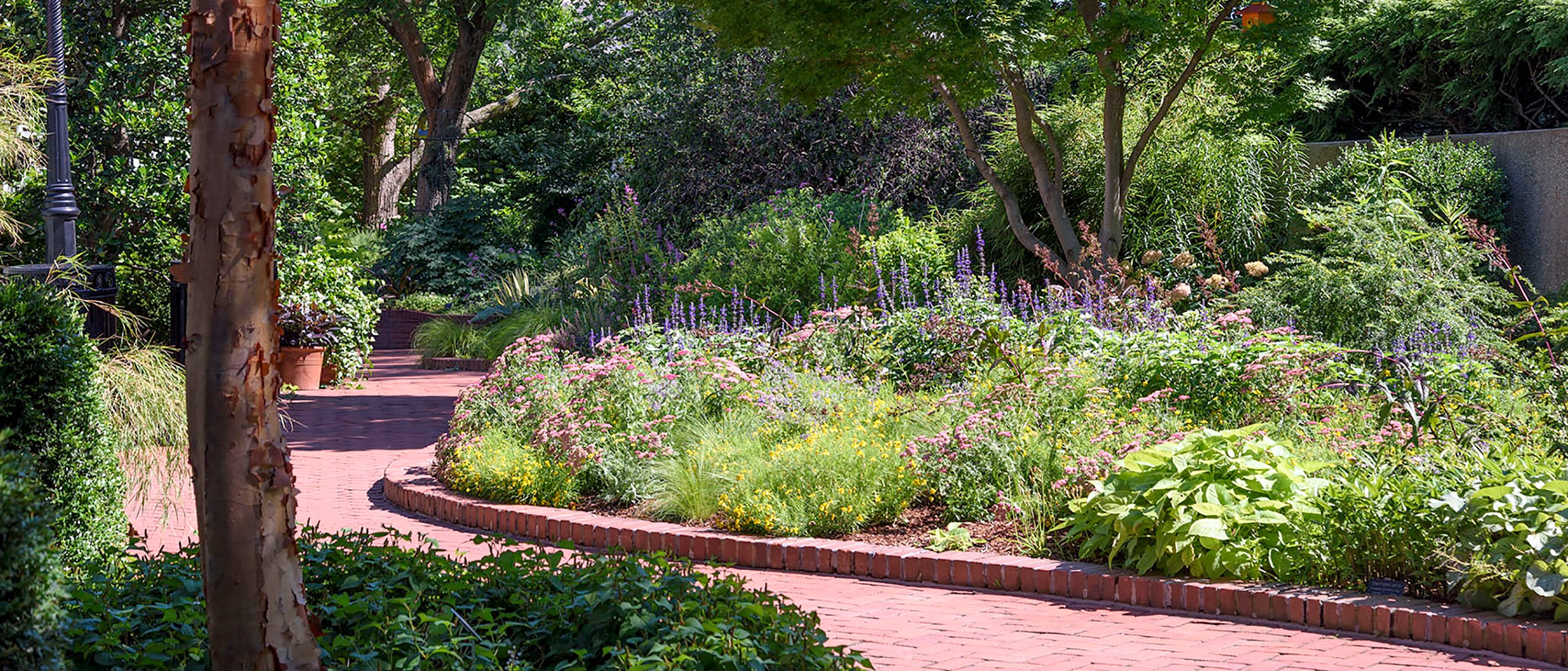 Brick walkway through the Ripley Garden