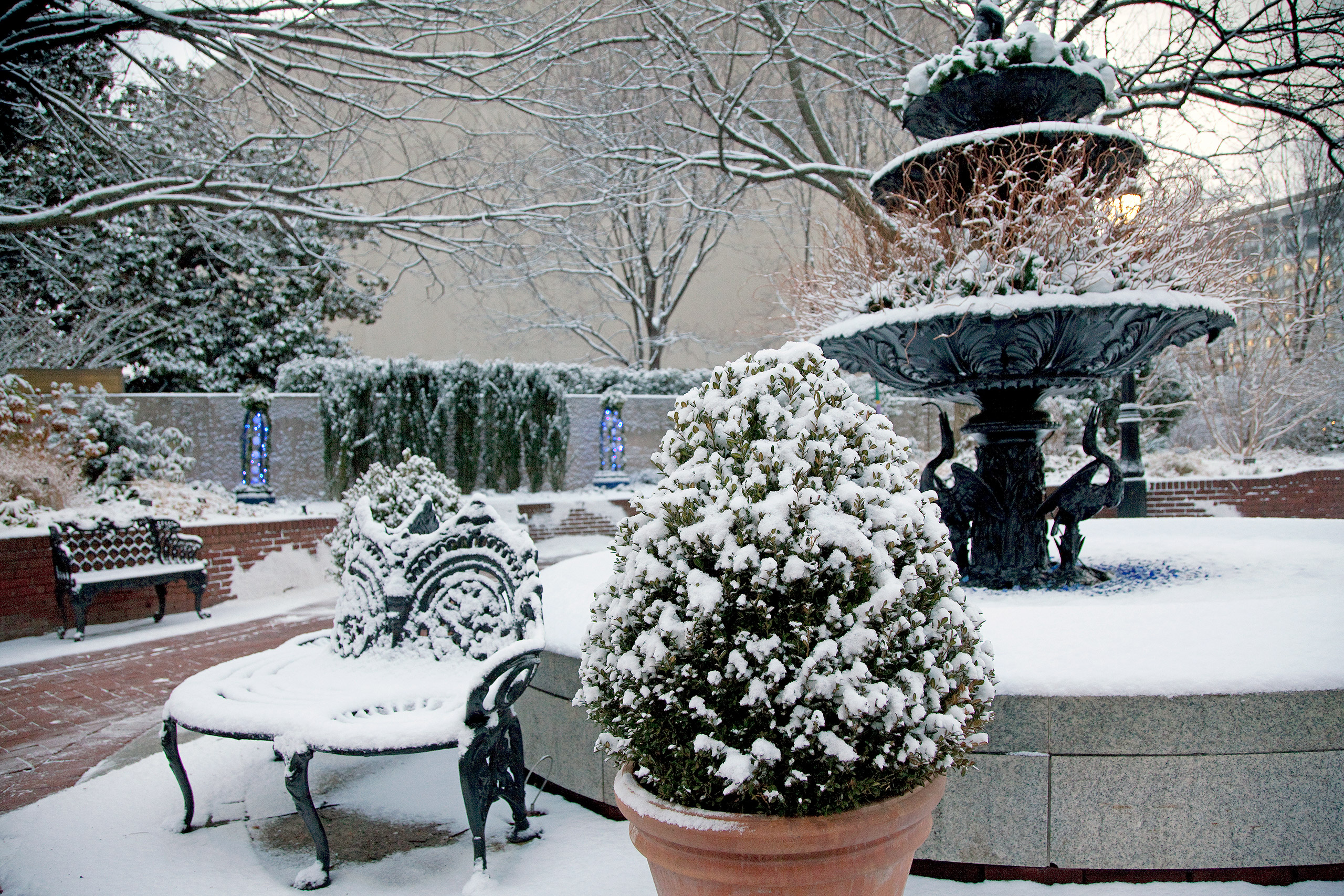 Winter Interest in the Garden - Smithsonian Gardens