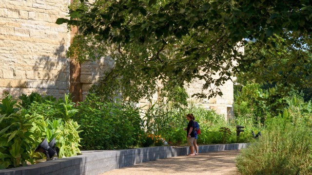 Visitors stop to read garden sign and look at corn plants in the Native Landscape at the National Museum of the American Indian