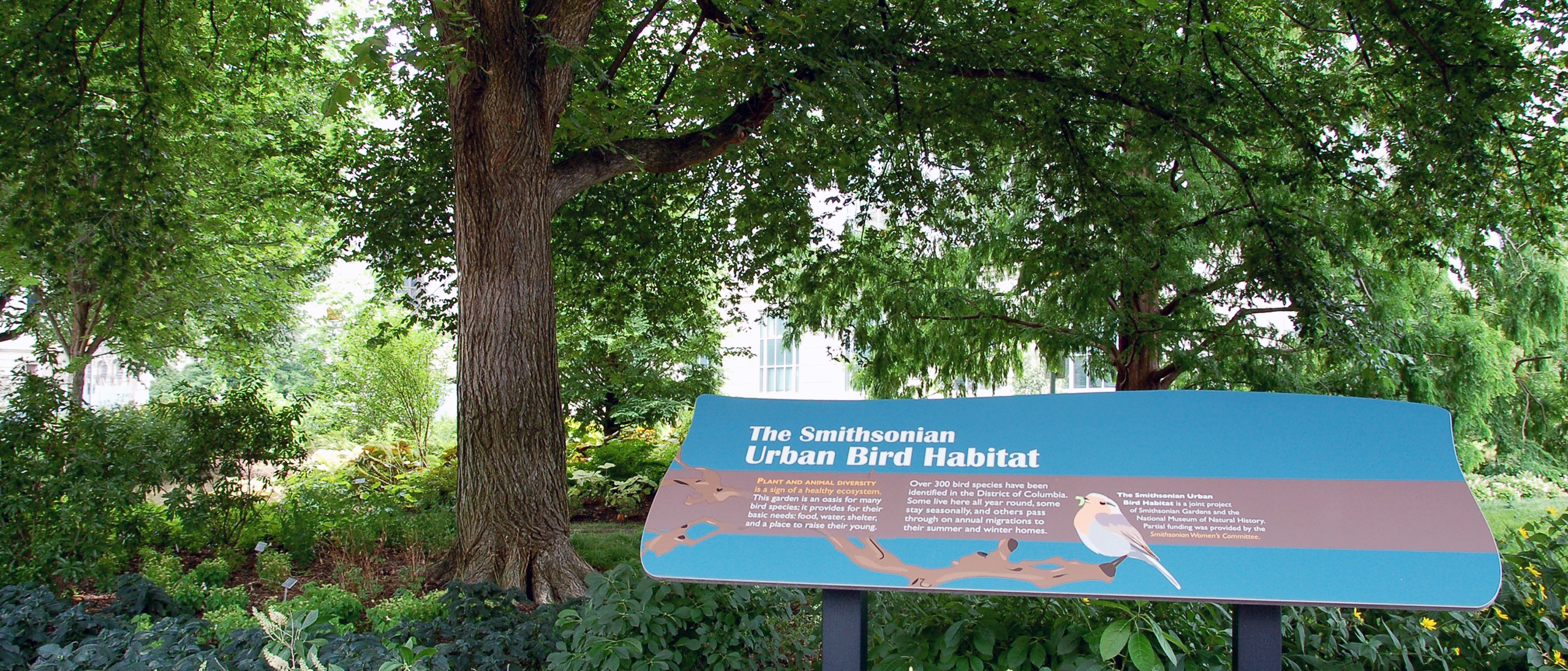 Teal welcome sign with bird on it at entrance to the Urban Bird Habitat