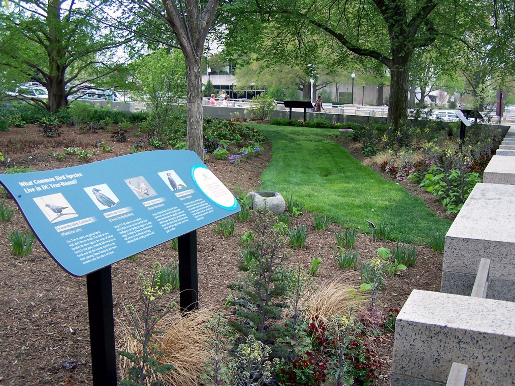 Urban Bird Habitat at National Museum of Natural History