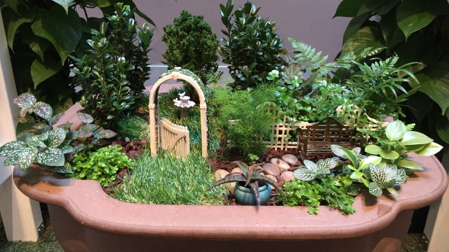 Miniature garden of moss, grass, and ferns with tiny garden gate, fence, birdbath, and bench in terracotta planter