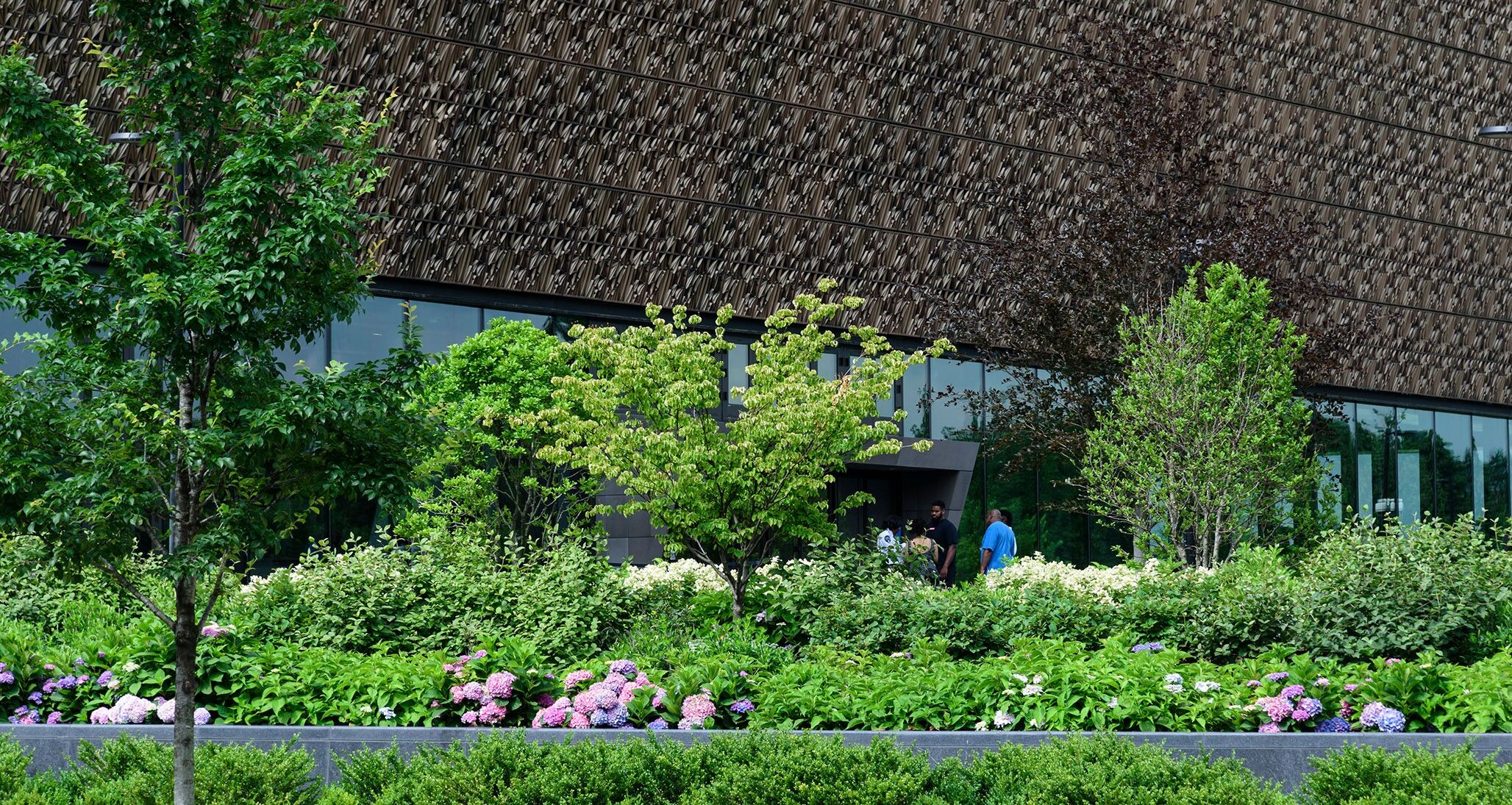 National Museum of African American History & Culture - EverGreene