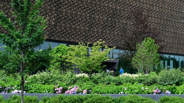 National Museum of African American History and Culture