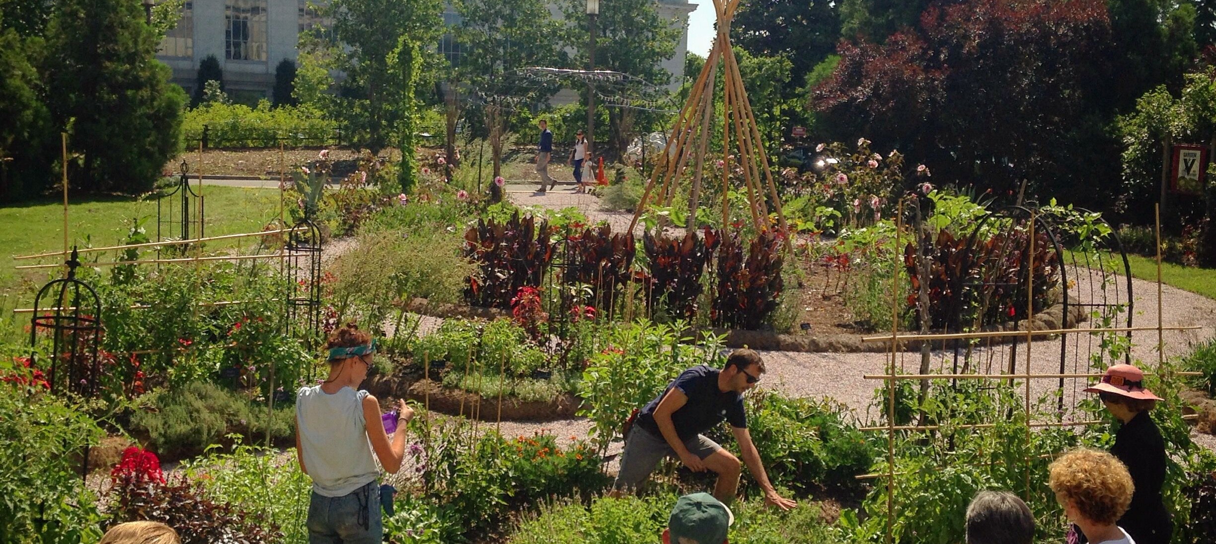 Victory Garden at the National Museum of American History Smithsonian