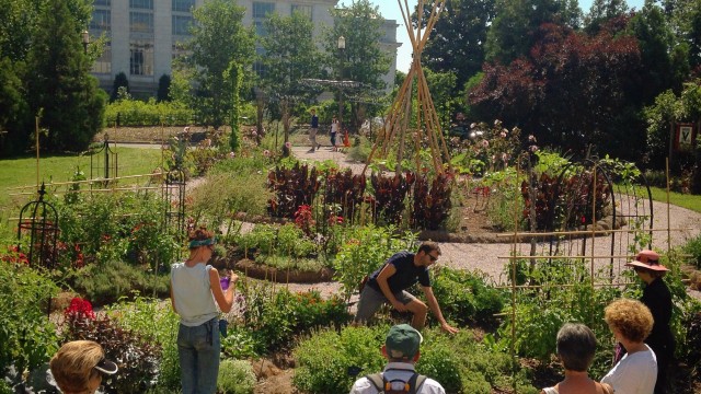 Victory Garden at the National Museum of American History