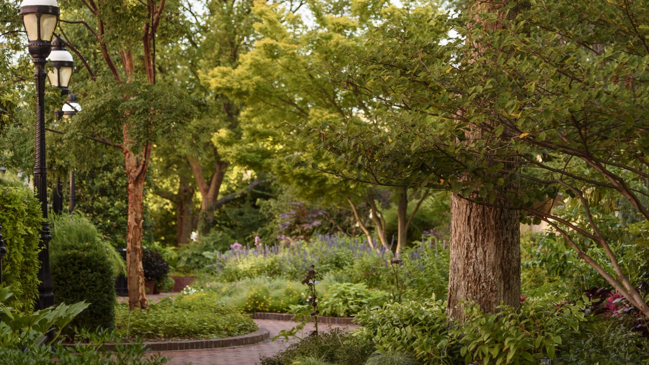 Mary Livingston Ripley Garden walkway