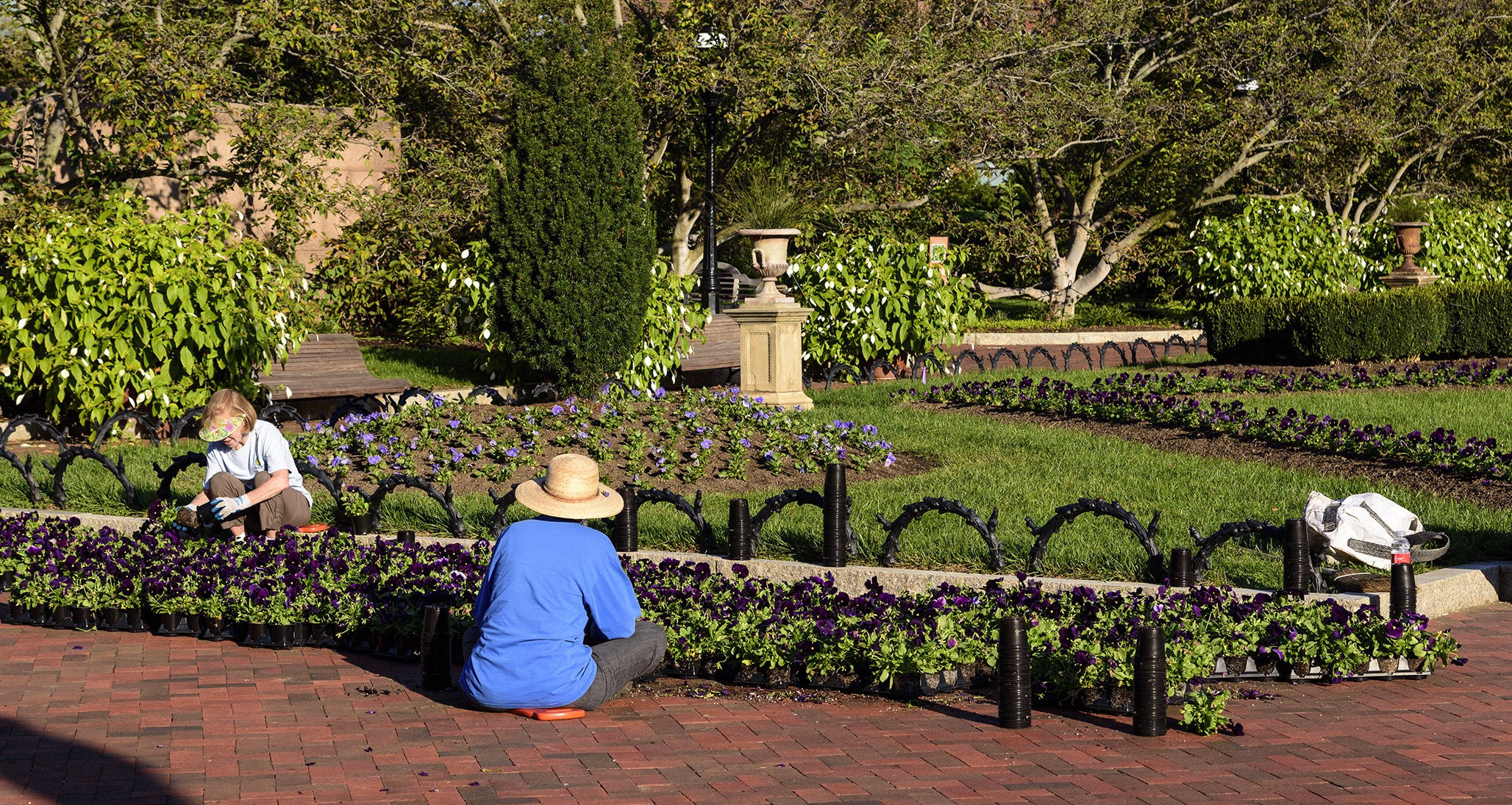 Volunteers working in the Enid A. Haupt Garden