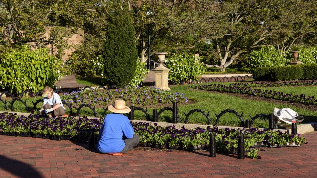 Volunteers working in the Enid A. Haupt Garden