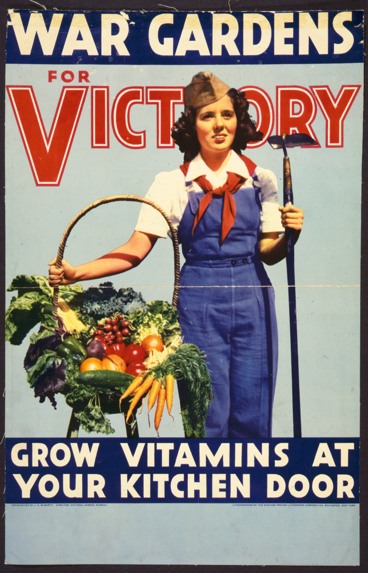 World War II Propaganda poster featuring a woman in overalls holding a hoe and basket of vegetables. The poster reads, "War Gardens for Victory. Grow Vitamins at Your Kitchen Door."