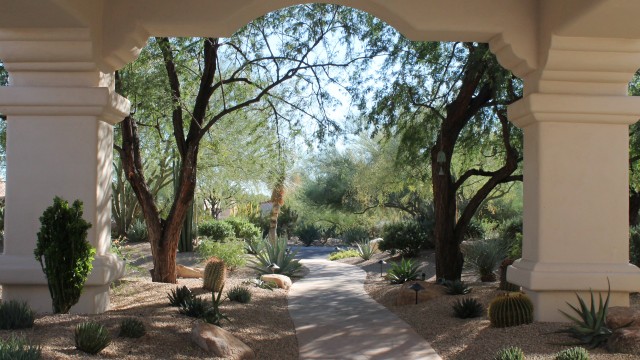 Image from the Archives of American Gardens Collection, Papp Garden in Paradise Valley, Arizona. 2014.