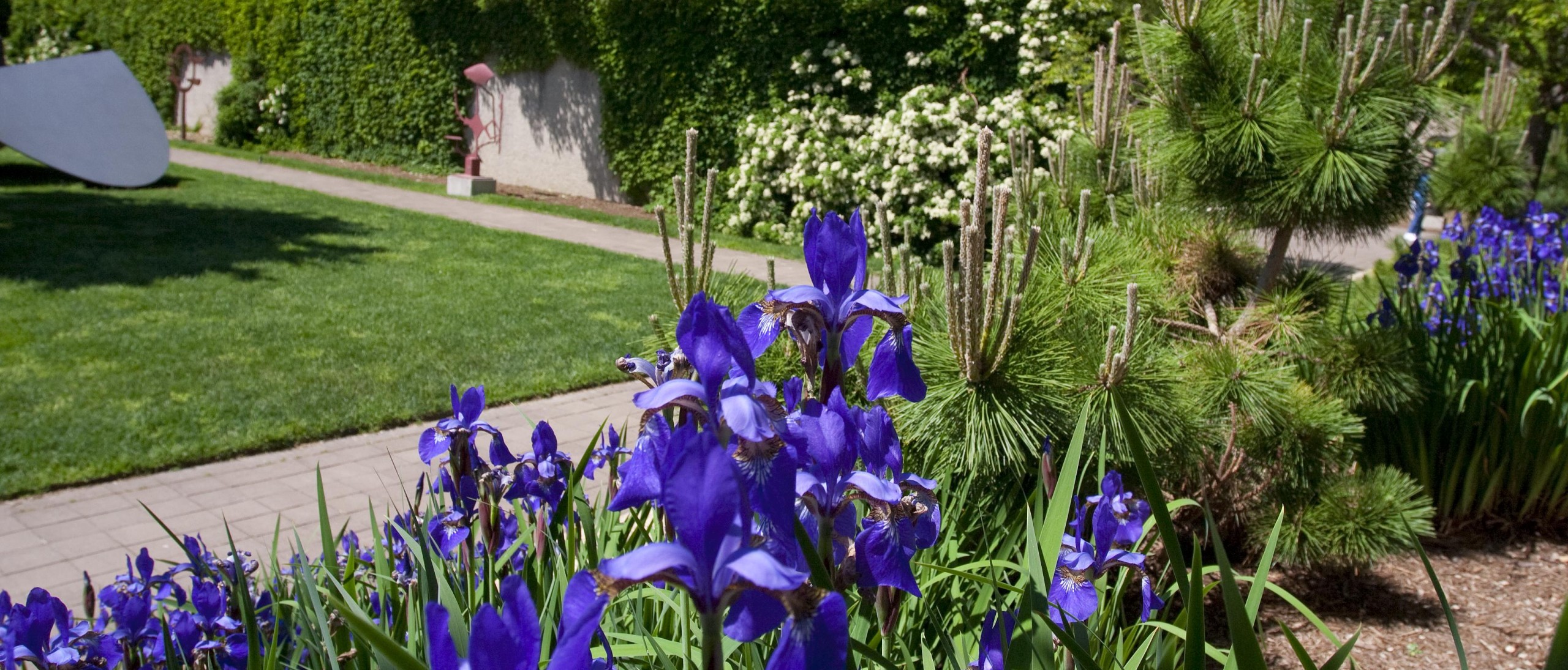 Hirshhorn Garden