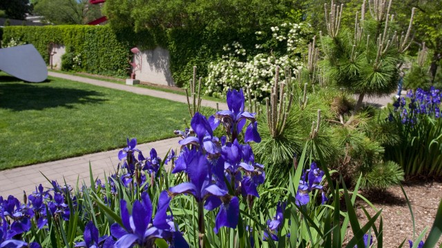 Hirshhorn Garden