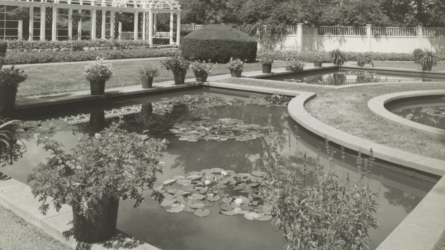 Chimney's garden, pergola by Olmsted, photograph