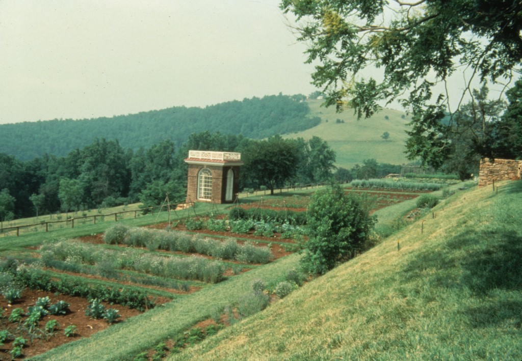 Color photograph of vegetable garden at Monticello.