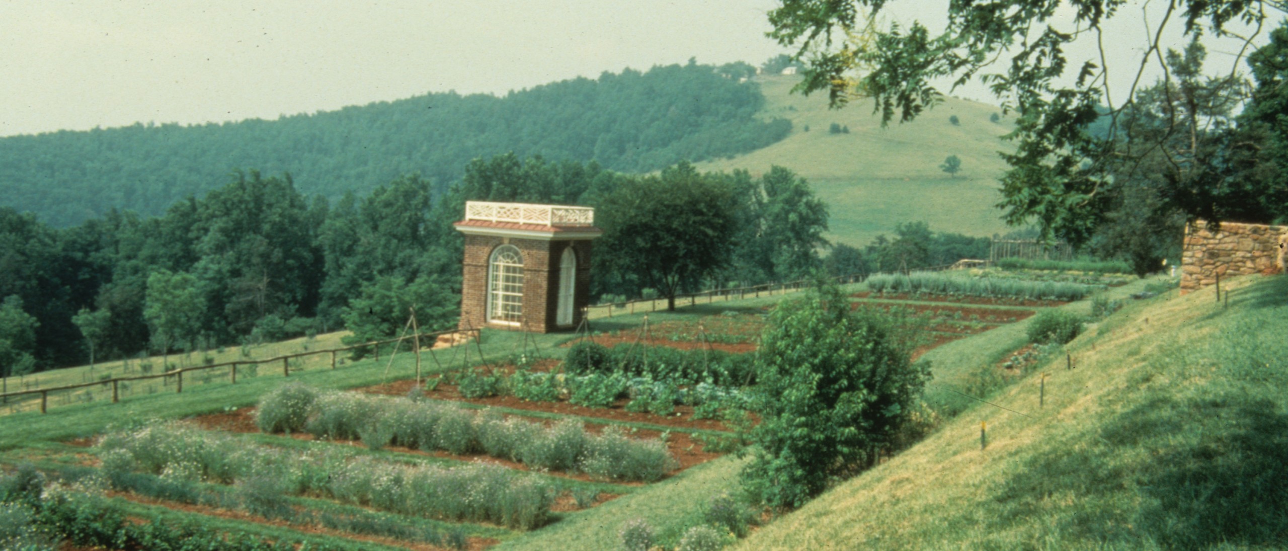 Color photograph of vegetable garden at Monticello.