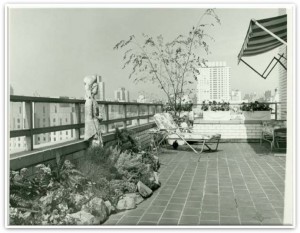 Young Garden – New York, NY. 1960-1970.