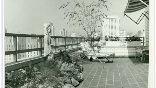 Image from the Archives of American Gardens of the Young Garden – New York, NY. 1960-1970.