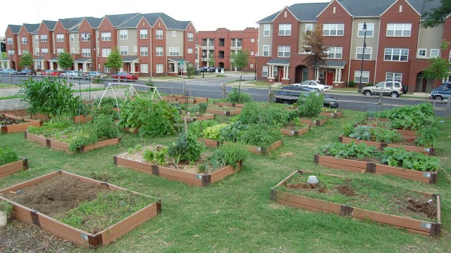 Jones Valley Urban Farm, community garden area with raised beds.