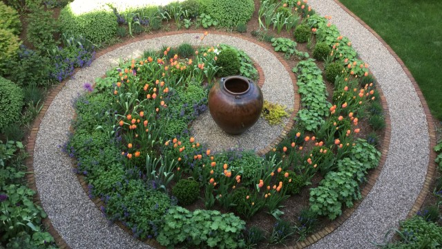 Kennelston Cottage, The spiral path in the conservatory garden, with orange tulips paired with purple flowers.