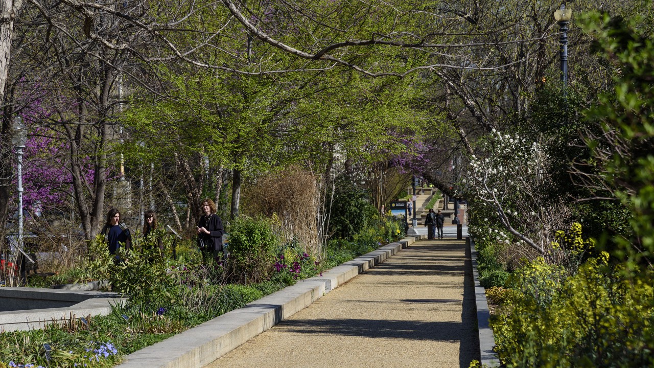 pollinator-garden-at-the-national-museum-of-natural-history