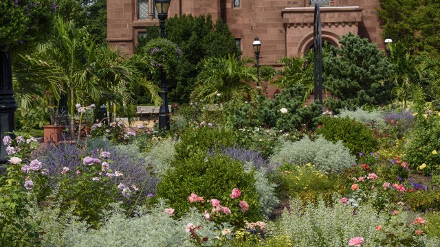 Folger Rose Garden