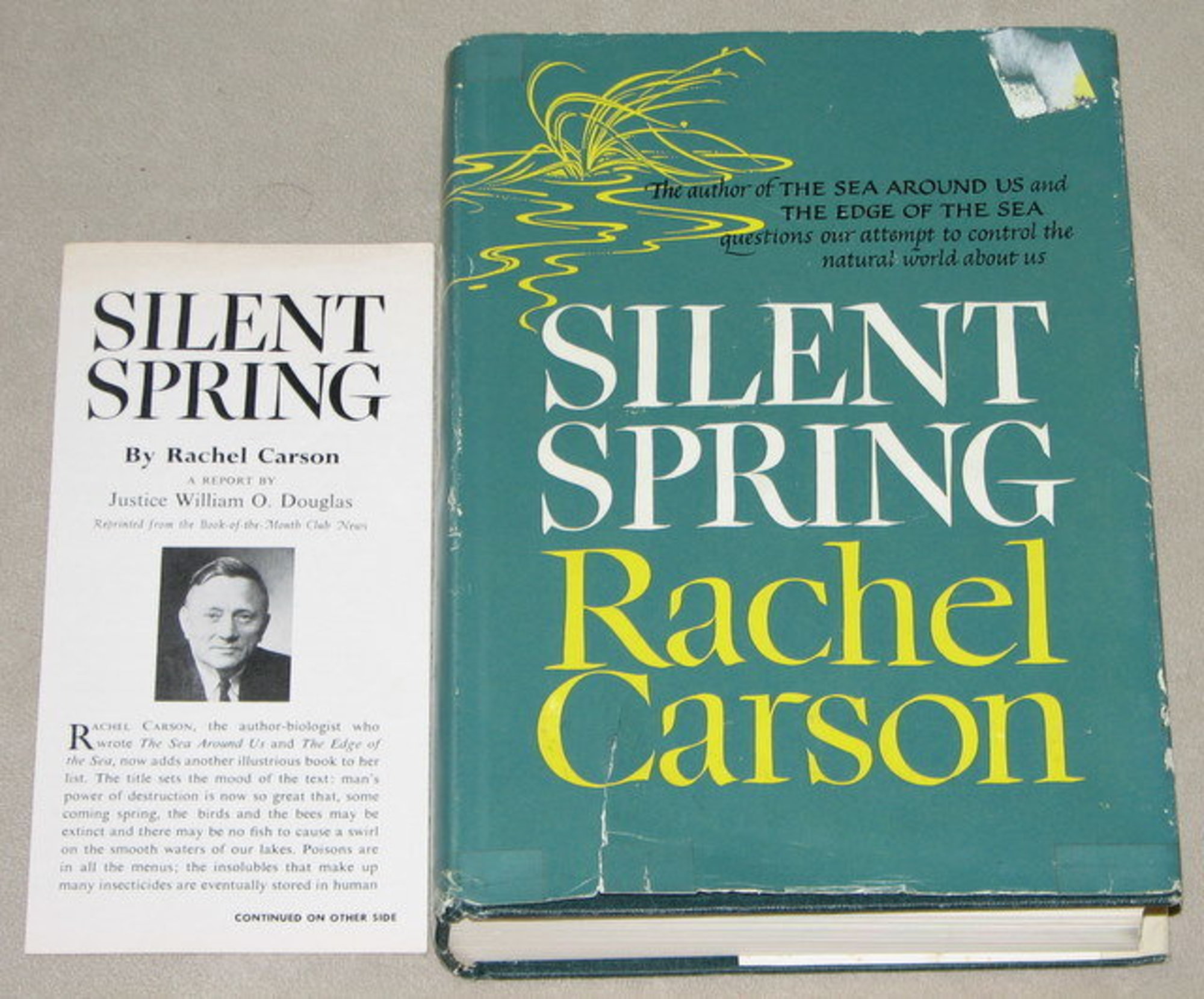 Cover of Rachel Carson's "Silent Spring."