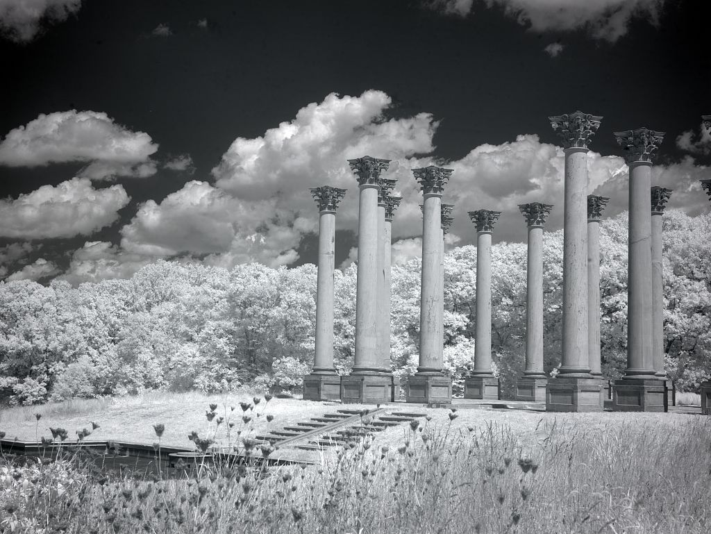 Photo of the National Arboretum's Pillars.