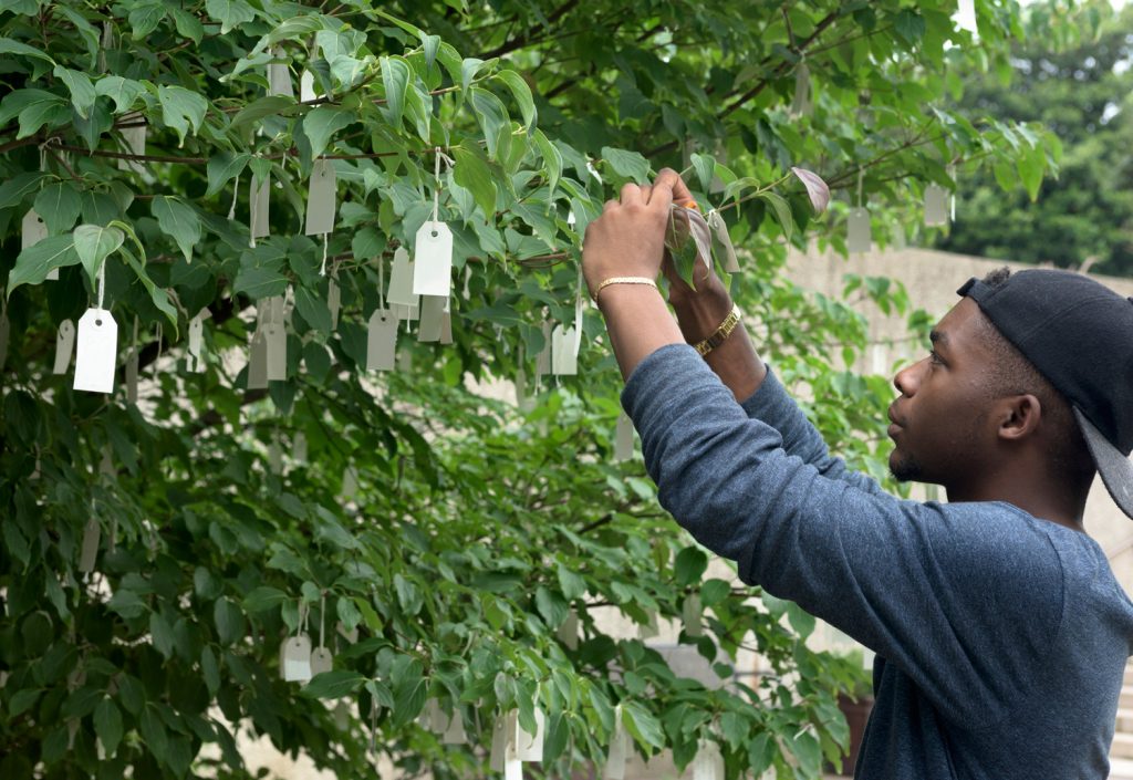 Visitor tying paper wish to Yoko Ono Wish Tree for Washington, D.C.