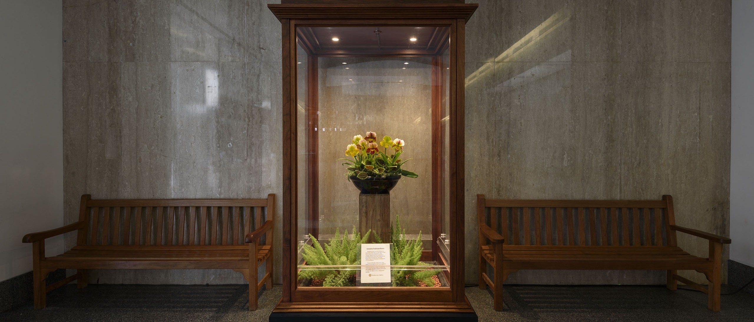 Horticulture Displays, Orchid Case at the National Museum of American History