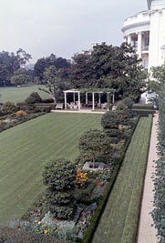 The White House Garden