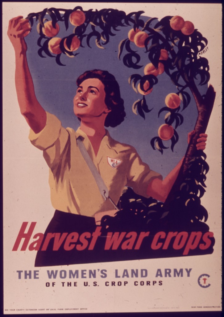 “Harvest War Crops," The Women’s Land Army poster