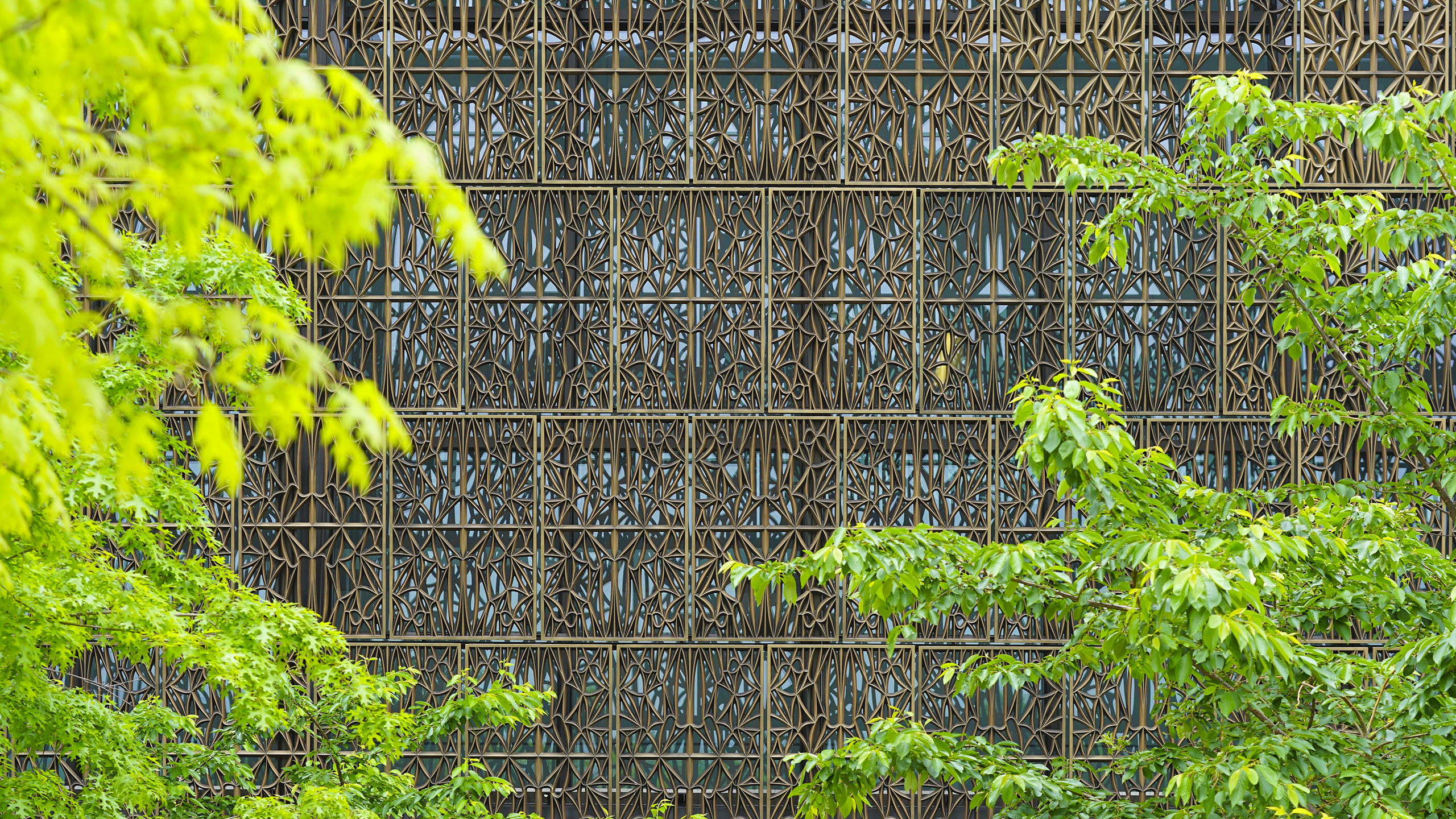 Habitat installation outside of the National Museum of African American History and Culture