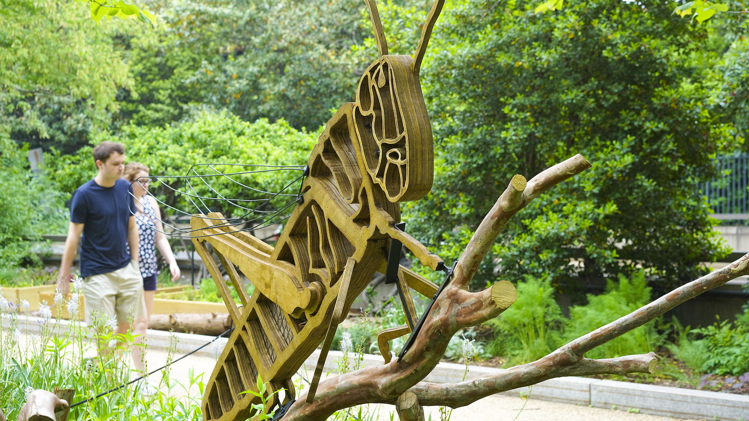 Bug sculpture outside of the National Museum of American History