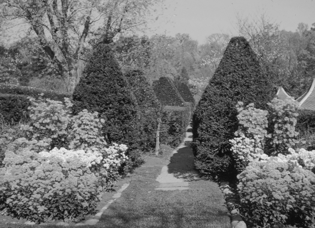 Formal garden with conical trees and wide path