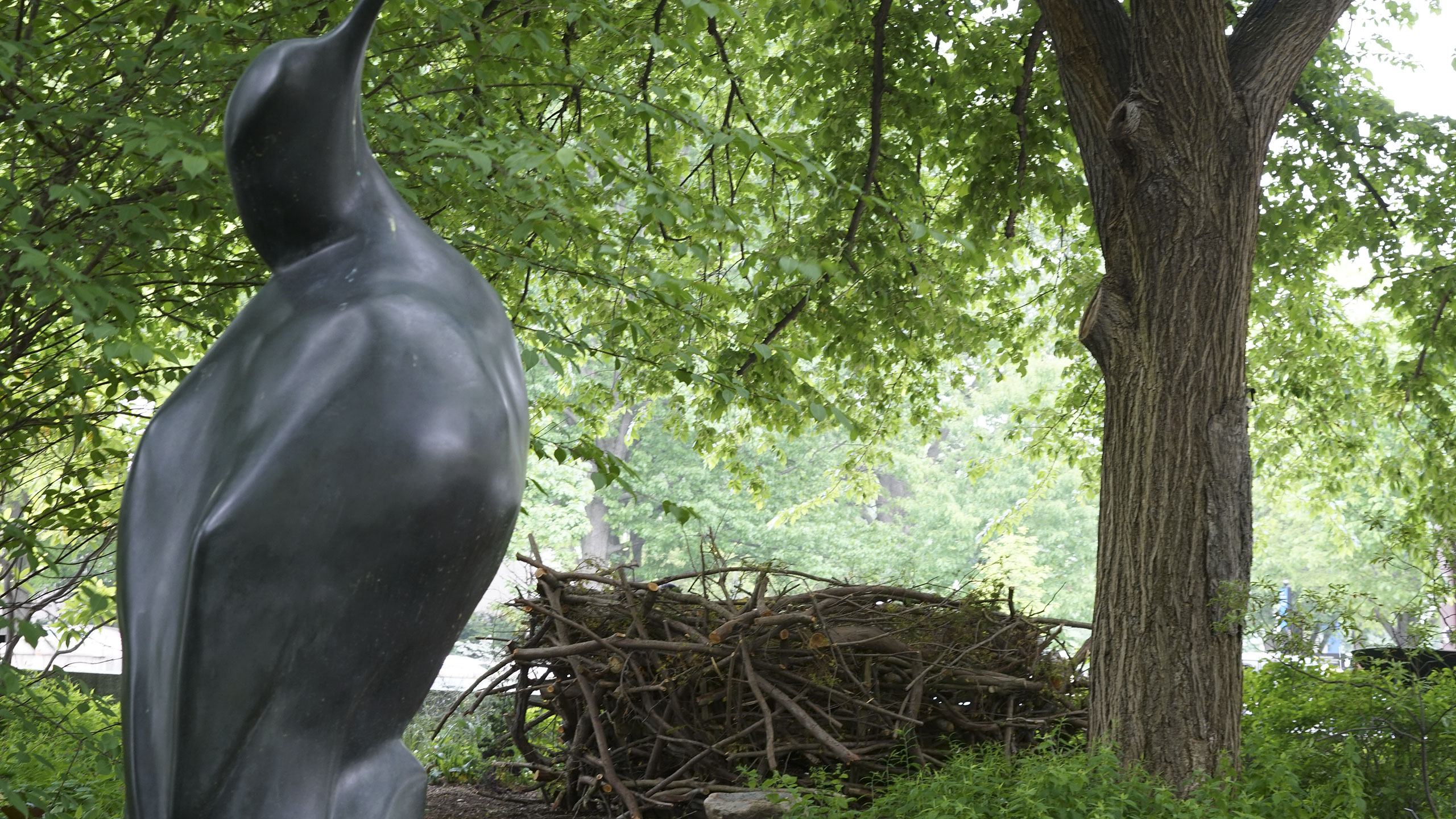 Nest installation in the Urban Bird Habitat outside of the National Museum of American History