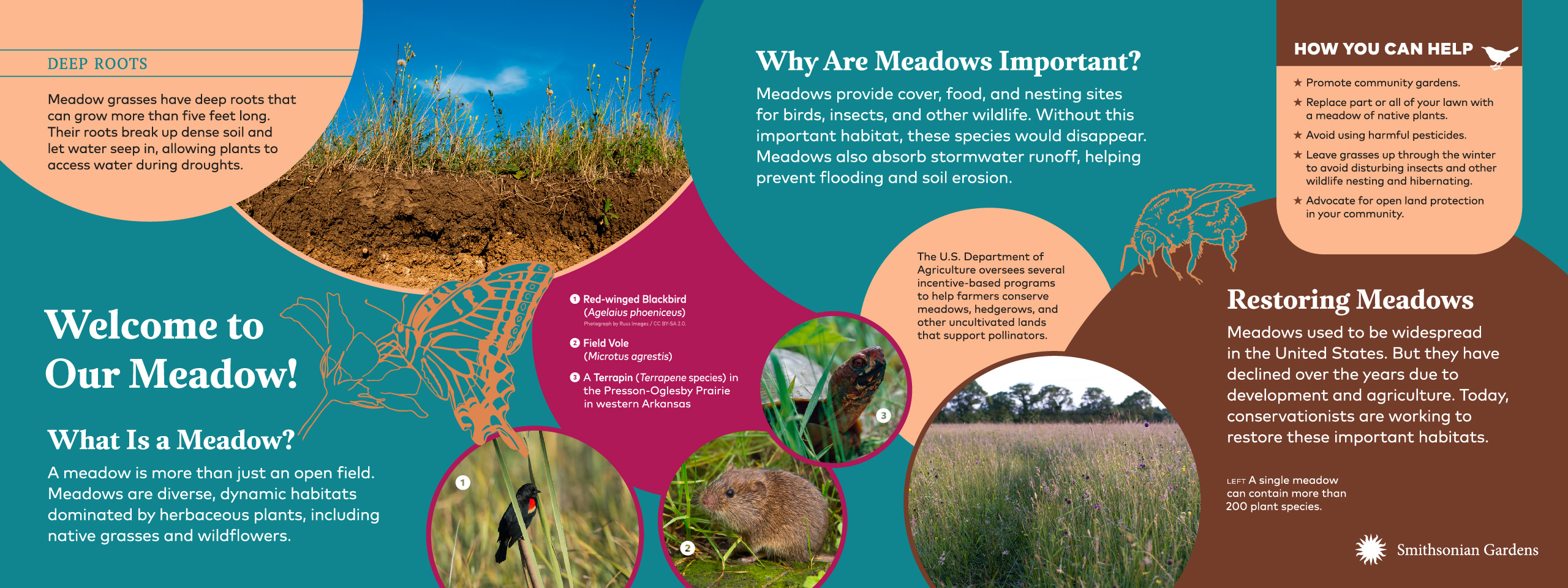 Welcome to Our Meadow! exhibit panel