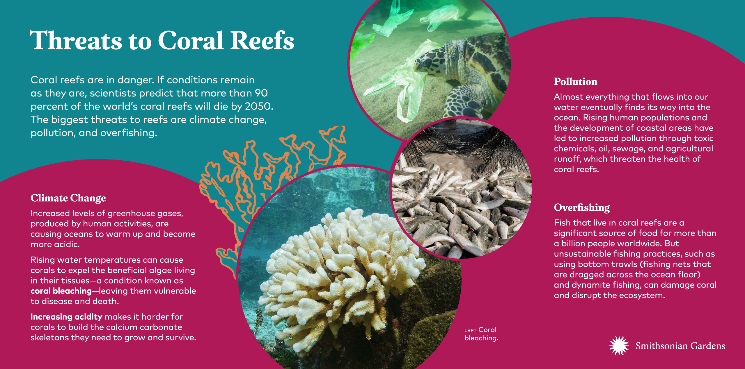 Threats to Coral Reefs exhibit panel