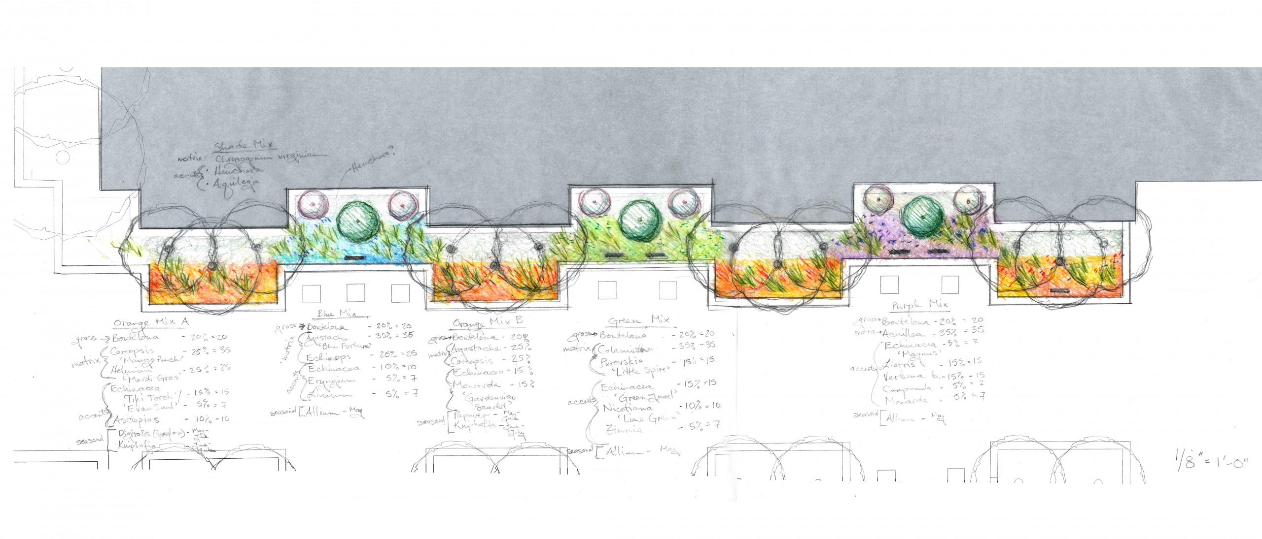 architectual sketch of common ground planting beds