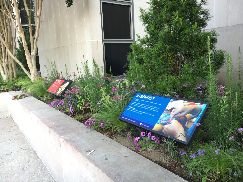 Exhbition signs raised planting bed of purple flowers with conifer in background.