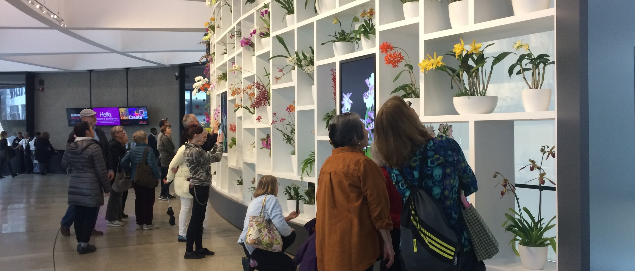 Museum visitors standing in front of wall of white shelves in the Hirshhorn Museum lobby featuring yellow, purple, white, red and orange orchids in white pots.