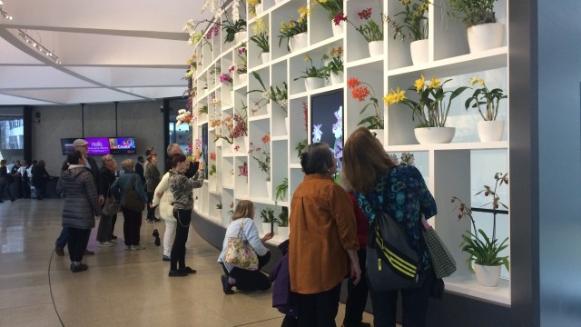 Museum visitors standing in front of wall of white shelves in the Hirshhorn Museum lobby featuring yellow, purple, white, red and orange orchids in white pots.