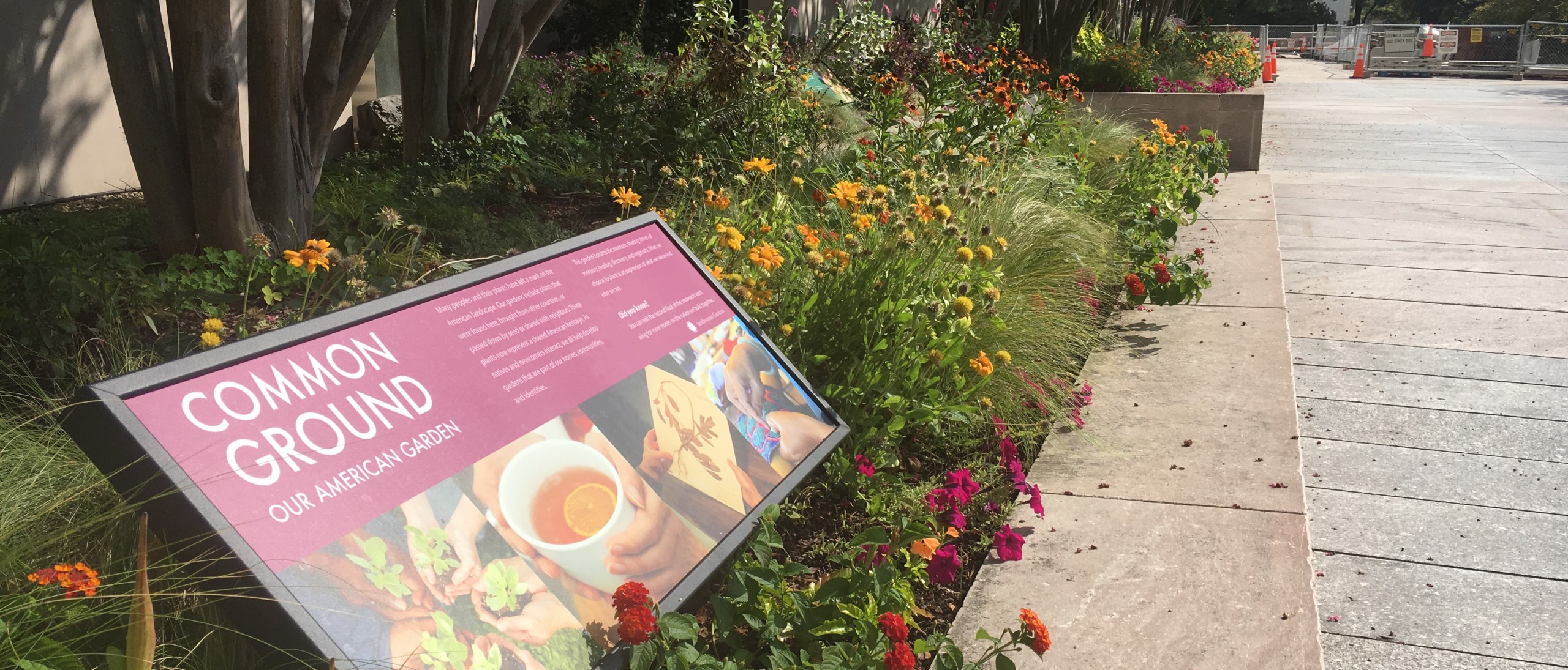 Common Ground welcome sign in raised planter.