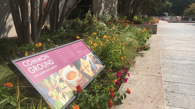 Common Ground welcome sign in raised planter.