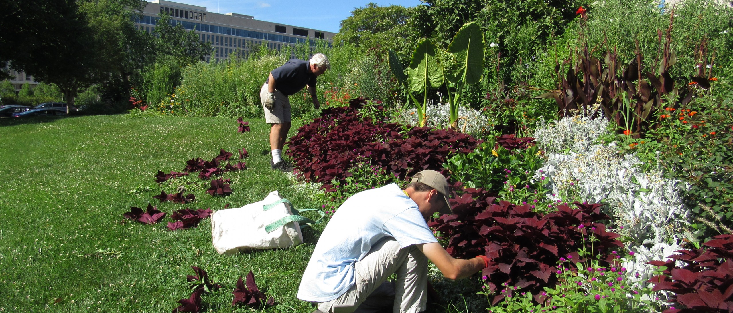 Horticulture Internship Smithsonian Gardens