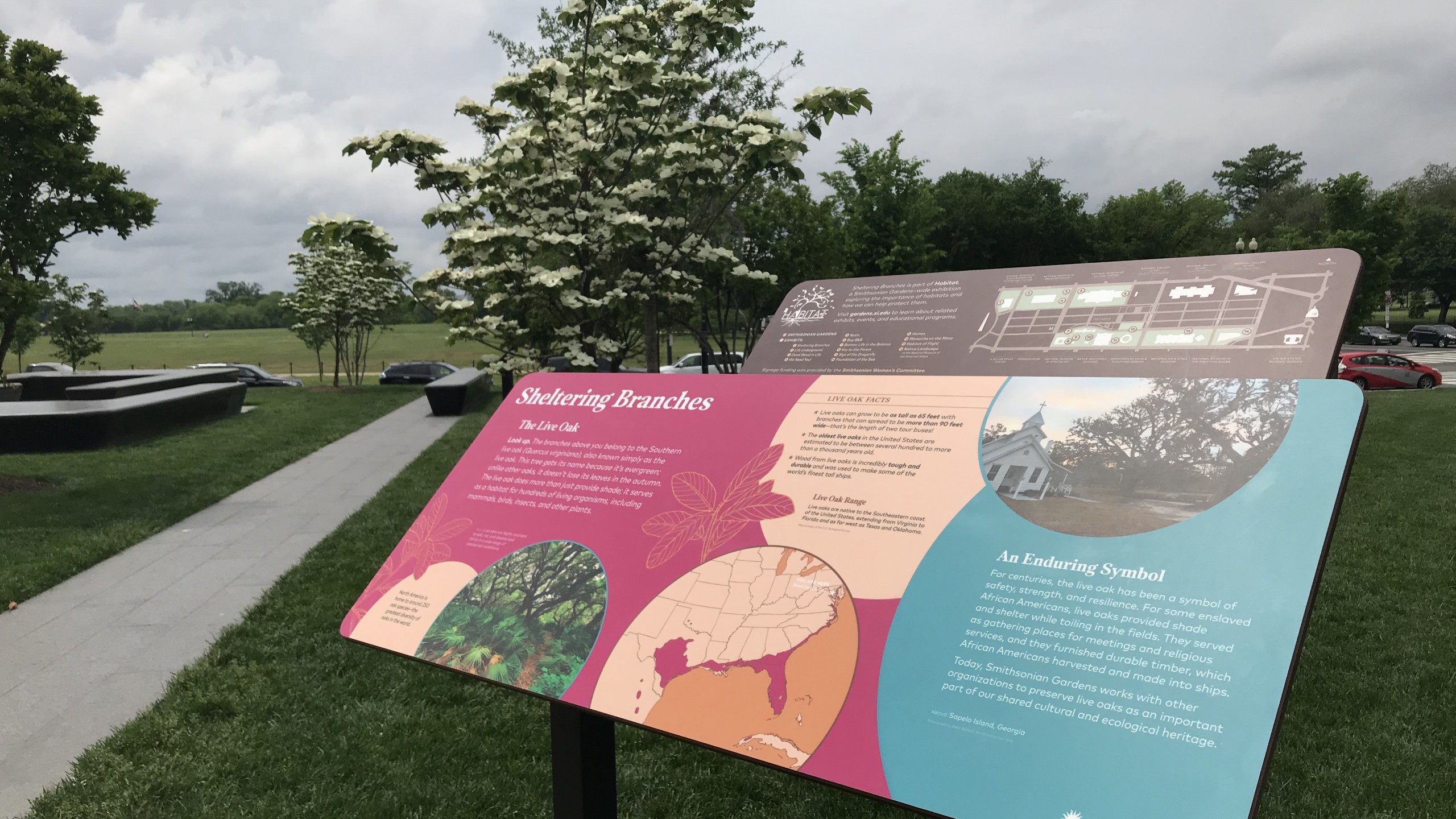 sheltering branches exhibition sign